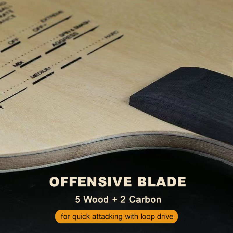 Original Sanwei T5000 Table Te - Table Tennis Eleven のレビューと価格